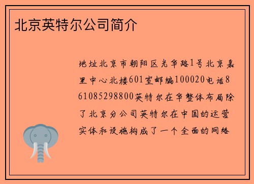 北京英特尔公司简介